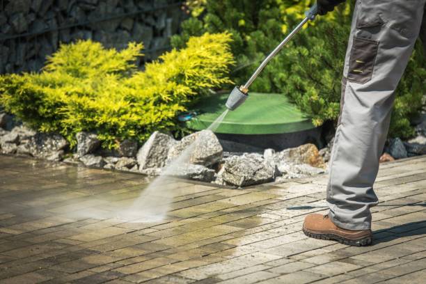 Best Pre-Holiday Cleaning  in Fannett, TX