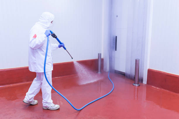 Best Factory Floor Cleaning  in Fannett, TX