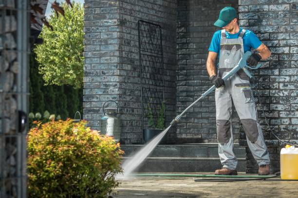 Best Gutter Cleaning  in Fannett, TX